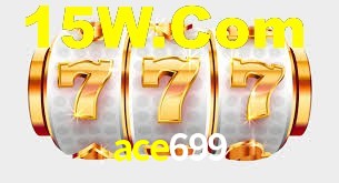 ace699 App Interface